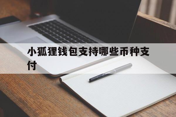 小狐狸钱包支持哪些币种支付，小狐狸钱包支持哪些币种支付的