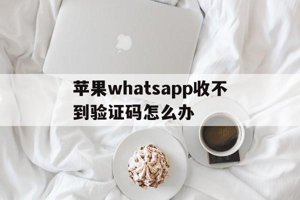 苹果whatsapp收不到验证码怎么办的简单介绍