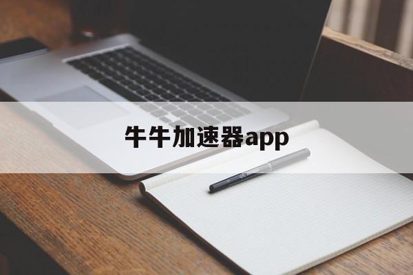 牛牛加速器app，小黑牛加速器下载官网