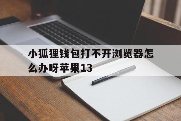 小狐狸钱包打不开浏览器怎么办呀苹果13，小狐狸钱包打不开浏览器怎么办呀苹果13pro