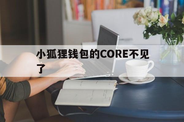 小狐狸钱包的CORE不见了，小狐狸钱包的core不见了如何查找