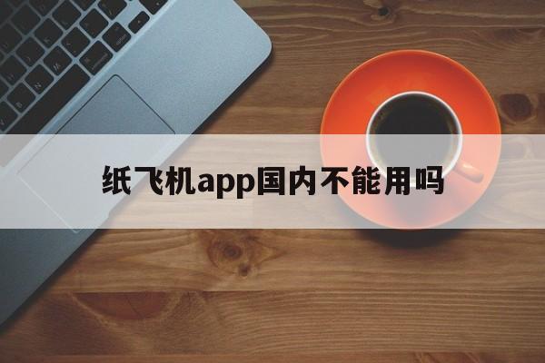 纸飞机app国内不能用吗，纸飞机软件为什么在中国连不上网