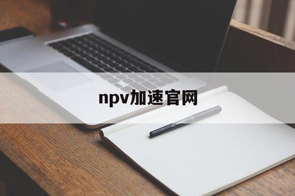 npv加速官网，npv网络加速器