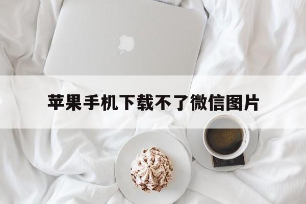 苹果手机下载不了微信图片，iphone微信怎么下载不了