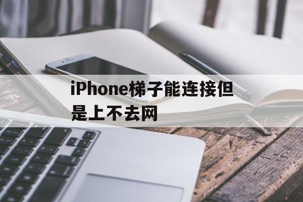 关于iPhone梯子能连接但是上不去网的信息